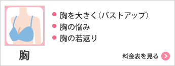 胸 ・胸を大きく（バストアップ）・バストの悩み 料金表を見る