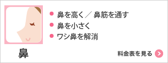 鼻 ・鼻を高く・鼻を小さく・ワシ鼻を解消 料金表を見る