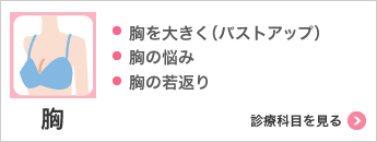 胸 ・胸を大きく（バストアップ）・バストの悩み 診療科目を見る