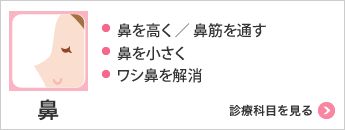 鼻 ・鼻を高く・鼻を小さく・ワシ鼻を解消 診療科目を見る
