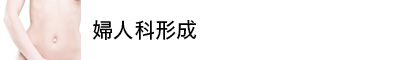 婦人科形成