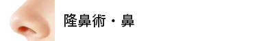 隆鼻術・鼻