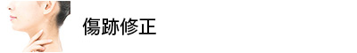 傷跡修正