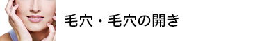 毛穴・毛穴の開き
